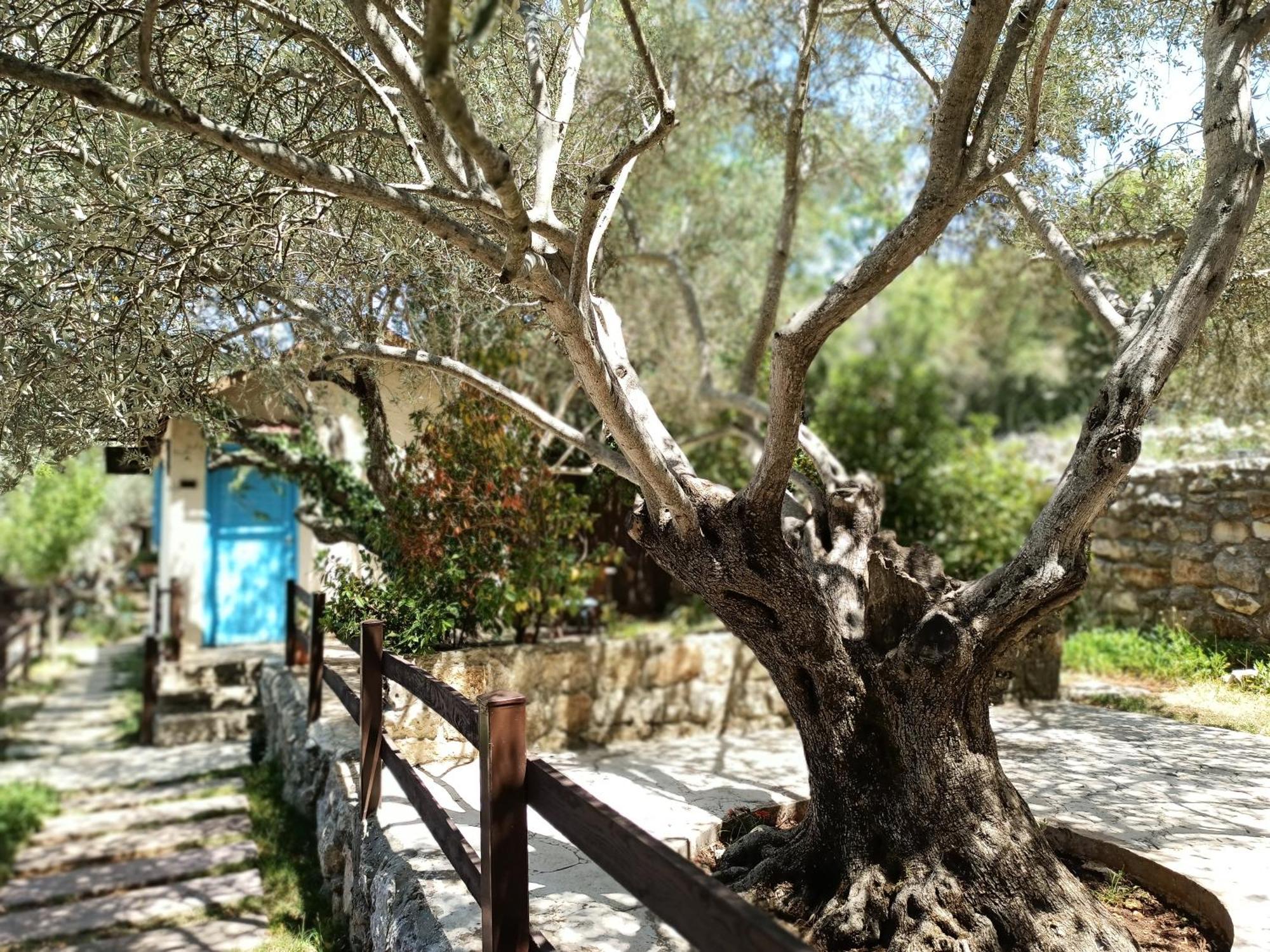 Rawa2 Village Deir el Qamar Exterior photo